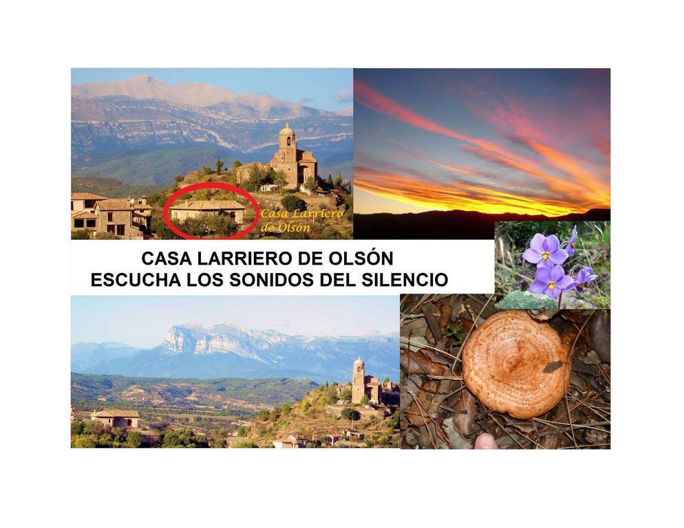 Pensjonat Casa Larriero De Olsón Zewnętrze zdjęcie